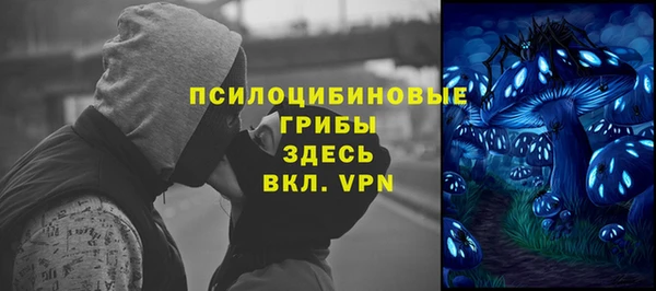 ПСИЛОЦИБИНОВЫЕ ГРИБЫ Алексеевка