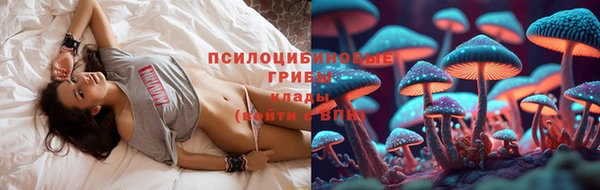 прущие крисы Алзамай