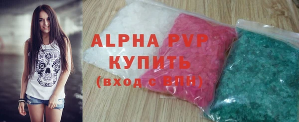 спиды Пересвет