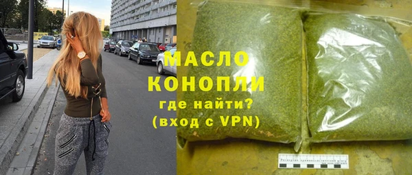 индика Переславль-Залесский