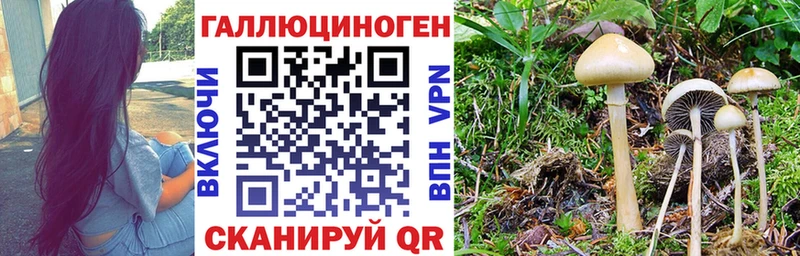 Галлюциногенные грибы GOLDEN TEACHER  Ишим 